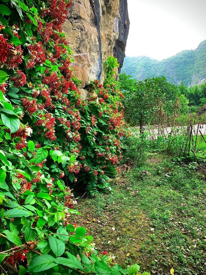 Trang An Valley Bungalow 닌빈 외부 사진